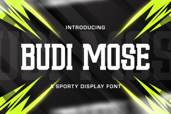 Budi Mose Font for Business