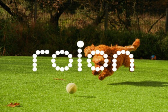 Roinert Font: Free Download & More